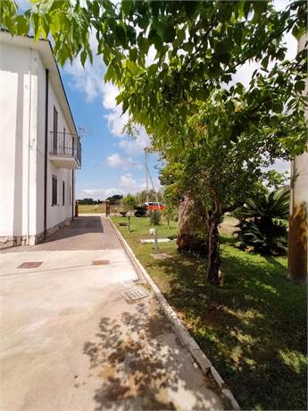 Photo 33