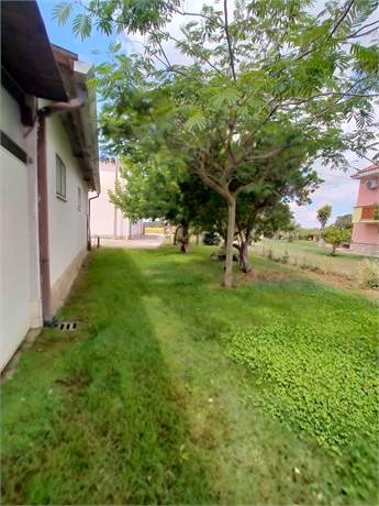 Photo 39